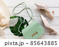 Fashion green bag woman accessories white background. Trendy fashion luxury handbag design. 85643885