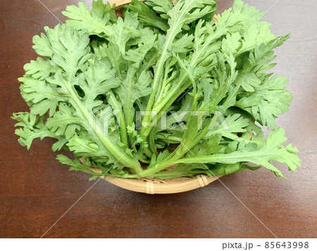 竹製の盆ざるに入った採れたて春菊　写真素材 85643998