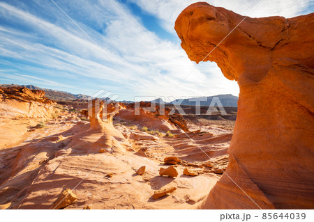 Little Finland Little Finland 85644039