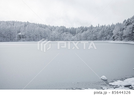 氷結の三本木沼 85644326