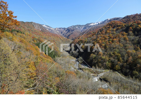 石川県道33号白山公園線沿いの紅葉(石川県白山市) 石川県道33号白山公園線沿いの紅葉(石川県白山市) 85644515