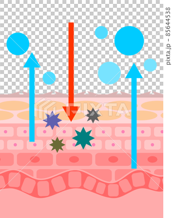 水分蒸発で乾燥して肌荒れした肌断面構造 85644538