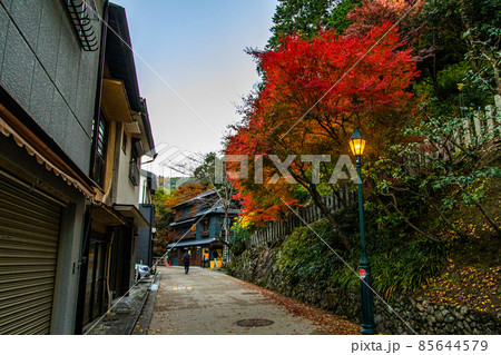 紅葉の写真 紅葉の写真 85644579