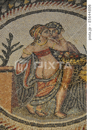 イタリア、シチリア島、ピアッツァ・アルメリーナ、カサーレの古代ローマの別荘、皇帝の寝室のモザイク 85644806