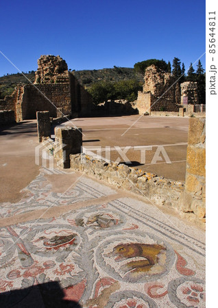 イタリア、シチリア島、ピアッツァ・アルメリーナ、カサーレの古代ローマの別荘、モザイクで飾られた床 イタリア、シチリア島、ピアッツァ・アルメリーナ、カサーレの古代ローマの別荘、モザイクで飾られた床 85644811