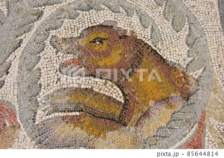 イタリア、シチリア島、ピアッツァ・アルメリーナ、カサーレの古代ローマの別荘、モザイクで飾られた床 85644814