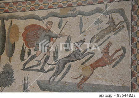 イタリア、シチリア島、ピアッツァ・アルメリーナ、カサーレの古代ローマの別荘、モザイクで飾られた床 イタリア、シチリア島、ピアッツァ・アルメリーナ、カサーレの古代ローマの別荘、モザイクで飾られた床 85644828