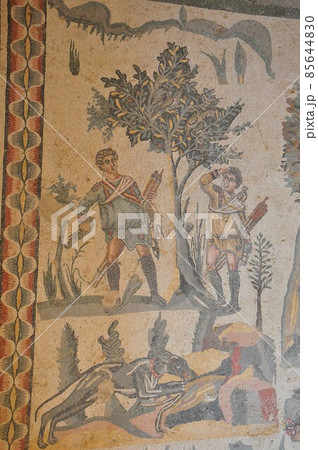 イタリア、シチリア島、ピアッツァ・アルメリーナ、カサーレの古代ローマの別荘、モザイクで飾られた床 85644830