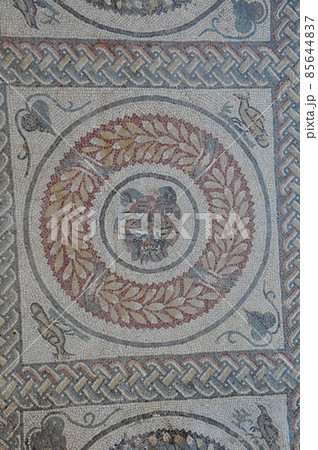 イタリア、シチリア島、ピアッツァ・アルメリーナ、カサーレの古代ローマの別荘、モザイクで飾られた床 イタリア、シチリア島、ピアッツァ・アルメリーナ、カサーレの古代ローマの別荘、モザイクで飾られた床 85644837