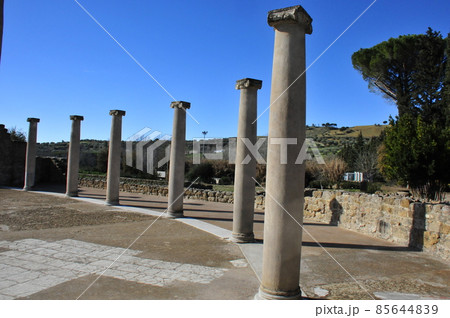 イタリア、シチリア島、ピアッツァ・アルメリーナ、カサーレの古代ローマの別荘、列柱のある庭 85644839
