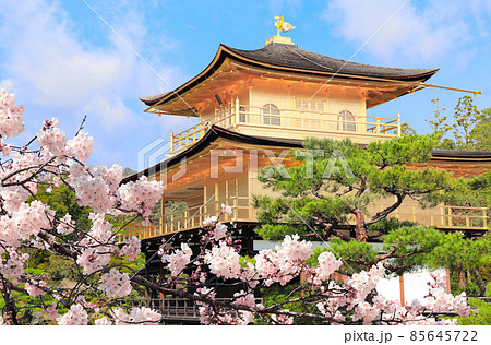 The Golden Pavilion (Kinkaku-ji Temple) and blooming sakura in Rokuon-ji complex, Kyoto, Japa The Golden Pavilion (Kinkaku-ji Temple) and blooming sakura in Rokuon-ji complex, Kyoto, Japa 85645722