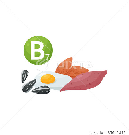Vitamin B7 sources - sweet potato, almond, eggs and sunflower seeds, vector illustration isolated on white background. 85645852