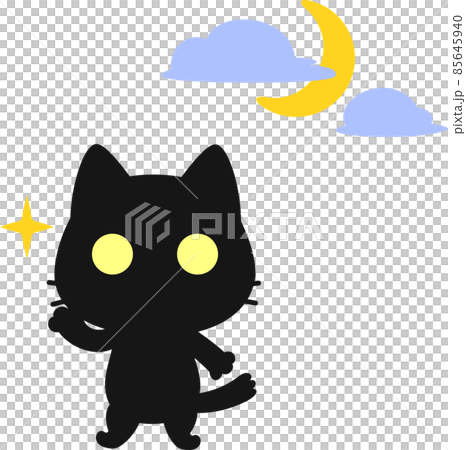 Cat character with shining eyes at night Cat character with shining eyes at night 85645940