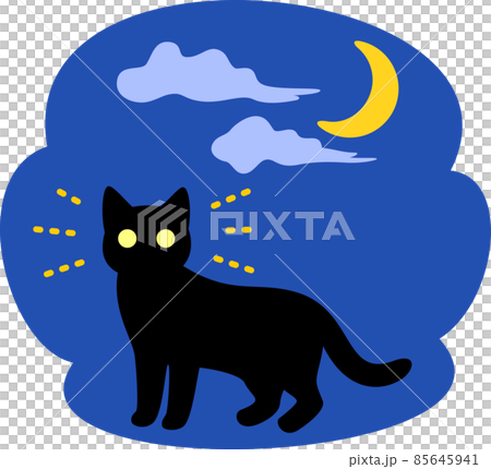 A cat with shining eyes and the night sky A cat with shining eyes and the night sky 85645941