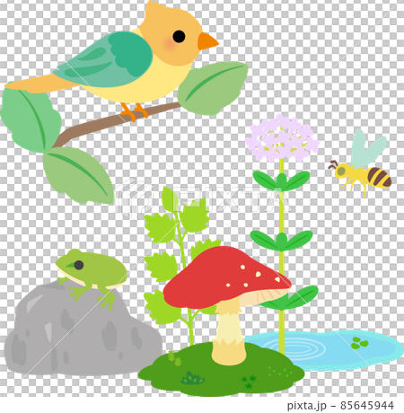 植物と小動物、ビオトープ 植物と小動物、ビオトープ 85645944