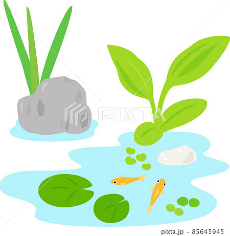 pond plants clipart