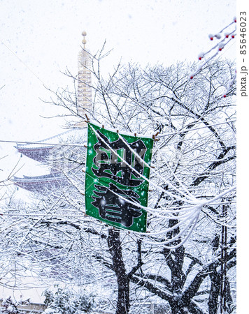 浅草の雪景色 85646023