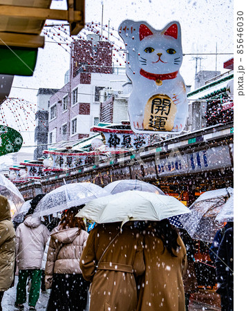 浅草の雪景色 85646030