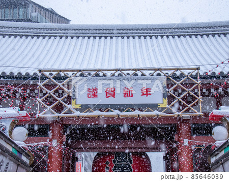 浅草の雪景色 85646039