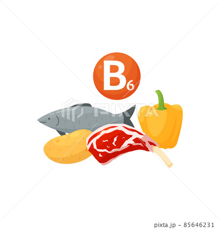Vitamin B6 is found in fish, meat, potatoes, bell peppers in flat vector Vitamin B6 is found in fish, meat, potatoes, bell peppers in flat vector 85646231