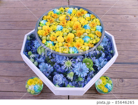 足利市 あしかがフラワーパークの花手水 足利市 あしかがフラワーパークの花手水 85646265