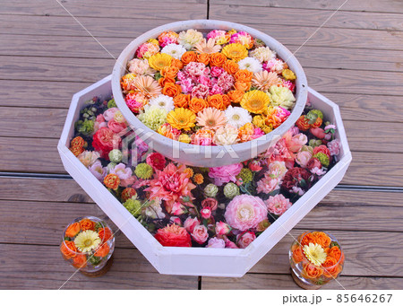 足利市　あしかがフラワーパークの花手水 85646267