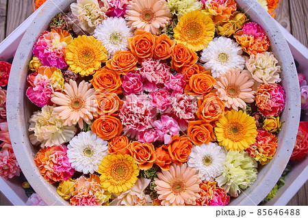 足利市　あしかがフラワーパークの花手水 85646488