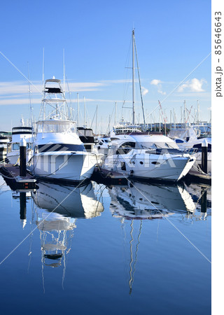 マリーナ マリーナ 85646643