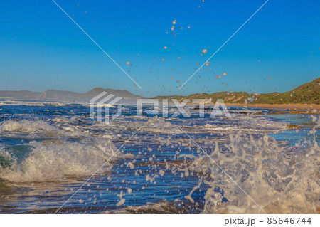 Surf on the beach with splashing water Surf on the beach with splashing water 85646744