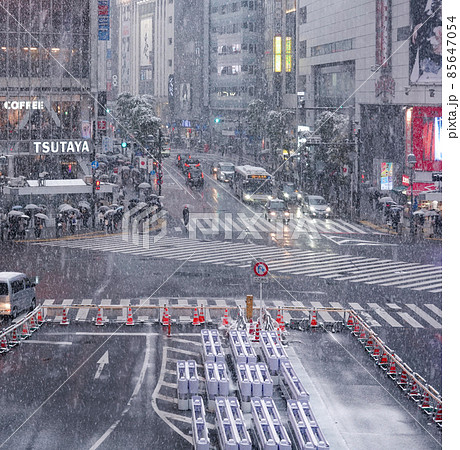 大雪の降る渋谷スクランブル交差点（東京都渋谷区） 85647054