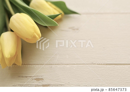 春フレーム　幸せの黄色のチューリップ3本 85647373