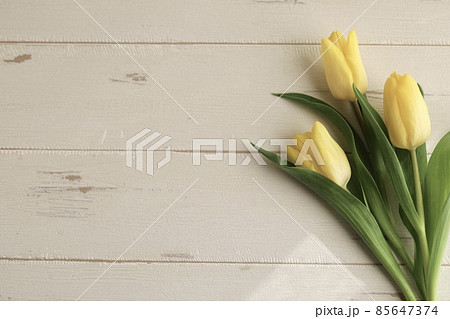 春フレーム　幸せの黄色のチューリップ3本 85647374