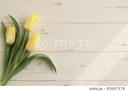 春フレーム　幸せの黄色のチューリップ3本 85647378