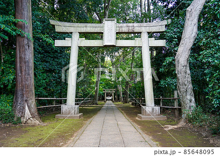 喜多見氷川神社(東京都世田谷区喜多見) 喜多見氷川神社(東京都世田谷区喜多見) 85648095