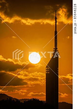 福岡タワーの夕日 85648228