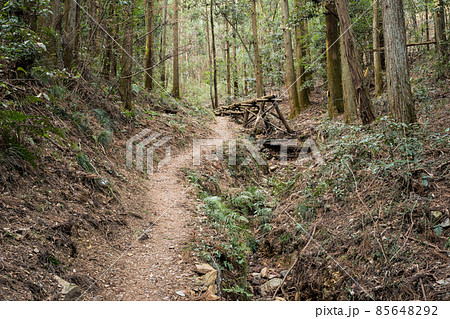 栃木百名山 大小山の風景 登山ルート 栃木百名山 大小山の風景 登山ルート 85648292