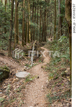 栃木百名山　大小山の風景　登山ルート 85648297