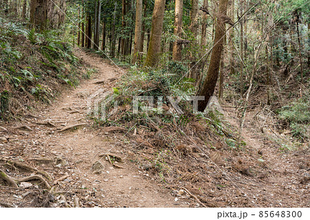 栃木百名山 大小山の風景 登山ルート 栃木百名山 大小山の風景 登山ルート 85648300