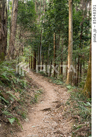 栃木百名山 大小山の風景 登山ルート 栃木百名山 大小山の風景 登山ルート 85648301