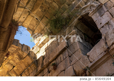 view under the arched vaults of ancient ruins overgrown with vegetation view under the arched vaults of ancient ruins overgrown with vegetation 85649164
