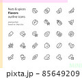 Nuts & spices flavors outline icons 85649209