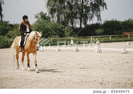 Portrait of woman in black helmet riding a brown horse Portrait of woman in black helmet riding a brown horse 85649475