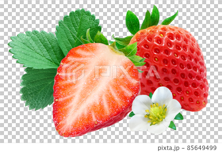 いちご 苺 イチゴ イラスト リアル 葉 花 セット 85649499
