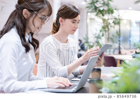オフィスで並んでパソコン作業をする若い女性2人 85649736