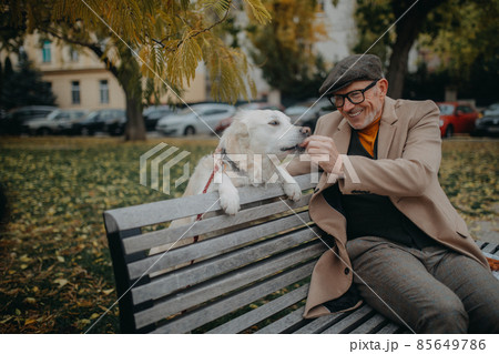 Happy senior man sitting on bench and resting during dog walk outdoors in city. Happy senior man sitting on bench and resting during dog walk outdoors in city. 85649786