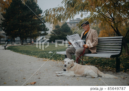 Happy senior man sitting on bench and reading newspaper during dog walk outdoors in park in city. Happy senior man sitting on bench and reading newspaper during dog walk outdoors in park in city. 85649787