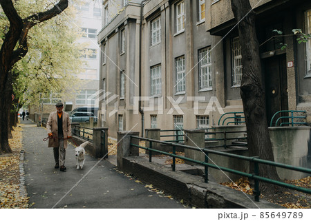Distant view of elegant senior man walking his dog outdoors in city in winter. Distant view of elegant senior man walking his dog outdoors in city in winter. 85649789