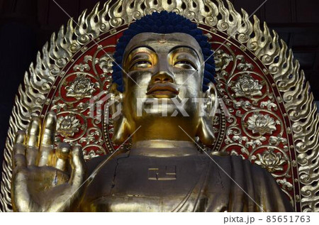 兵庫 長楽寺 兵庫 長楽寺 85651763