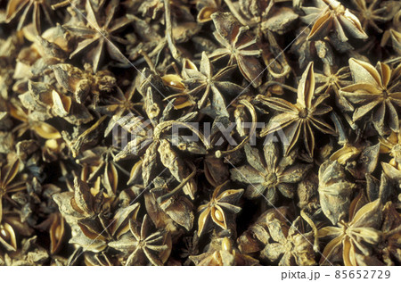 CHINA XIAN CHINESE MEDICINE MARKET 85652729