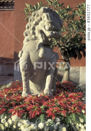 CHINA BEIJING FORBIDDEN CITY CHINA BEIJING FORBIDDEN CITY 85652777